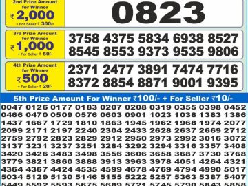 Dear Lottery Chart 2024