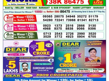Dear Lottery Chart 2024