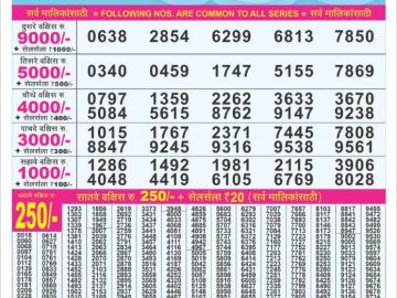 Dear Lottery Chart 2024