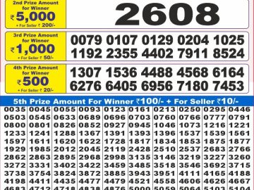 Dear Lottery Chart 2024