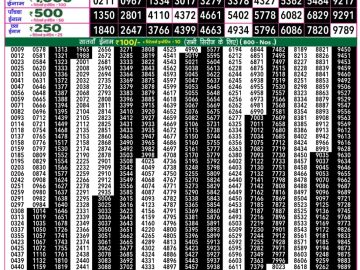 Dear Lottery Chart 2024