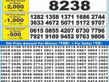 Dear Lottery Chart 2024