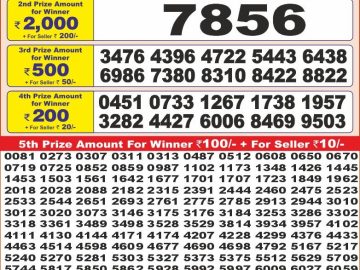 Dear Lottery Chart 2024