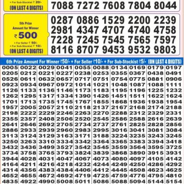 Dear Lottery Chart 2024
