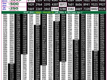 Dear Lottery Chart 2024
