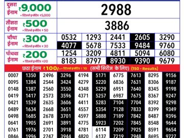 Dear Lottery Chart 2024