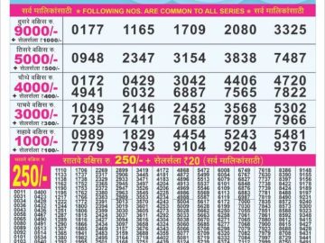 Dear Lottery Chart 2024
