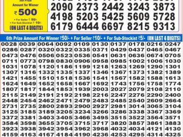 Dear Lottery Chart 2024