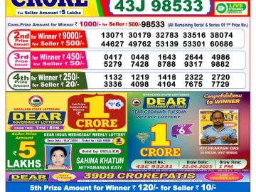 Dear Lottery Chart 2024