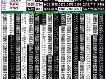 Dear Lottery Chart 2024