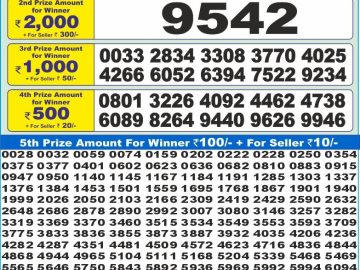 Dear Lottery Chart 2024