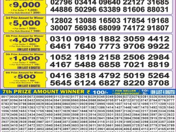 Dear Lottery Chart 2024