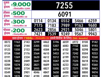 Dear Lottery Chart 2024