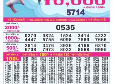 Dear Lottery Chart 2024
