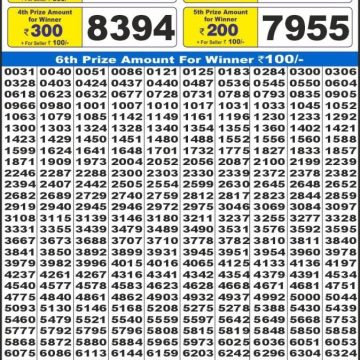 Dear Lottery Chart 2024