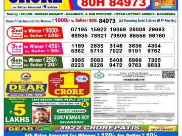 Dear Lottery Chart 2024