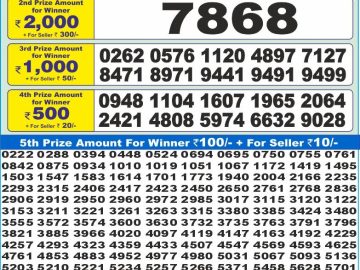 Dear Lottery Chart 2024