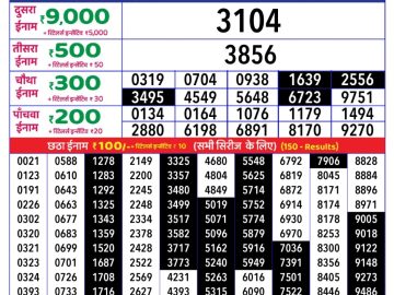 Dear Lottery Chart 2024