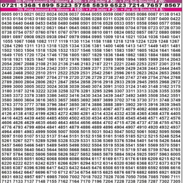 Dear Lottery Chart 2024