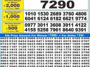 Dear Lottery Chart 2024