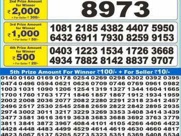 Dear Lottery Chart 2024