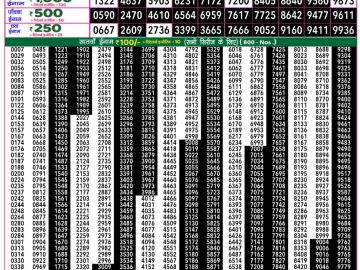 Dear Lottery Chart 2024
