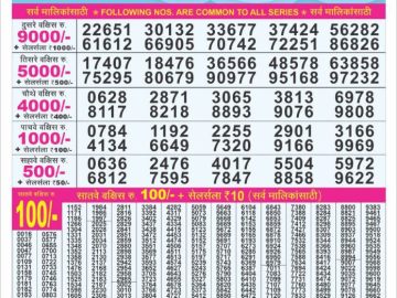 Dear Lottery Chart 2024