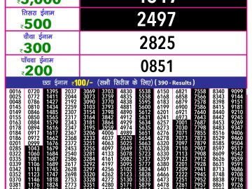 Dear Lottery Chart 2024