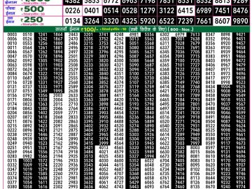 Dear Lottery Chart 2024