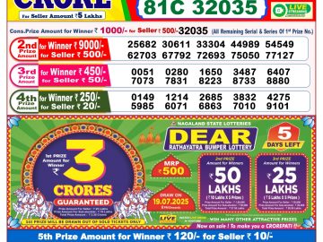 Dear Lottery Chart 2024