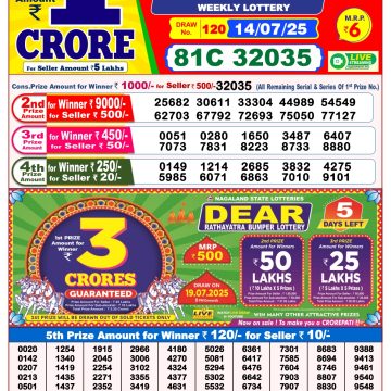 Dear Lottery Chart 2024