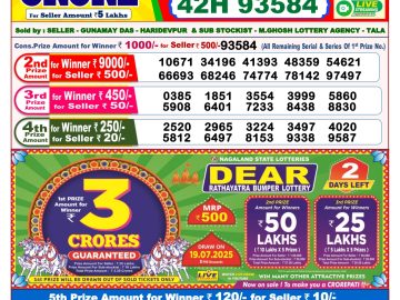 Dear Lottery Chart 2024