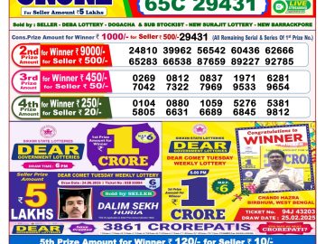Dear Lottery Chart 2024