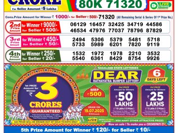 Dear Lottery Chart 2024