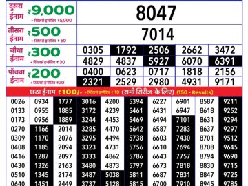 Dear Lottery Chart 2024