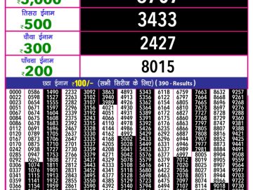 Dear Lottery Chart 2024