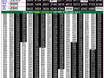 Dear Lottery Chart 2024
