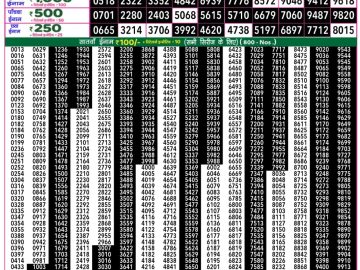 Dear Lottery Chart 2024