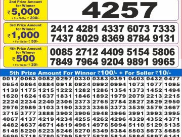 Dear Lottery Chart 2024