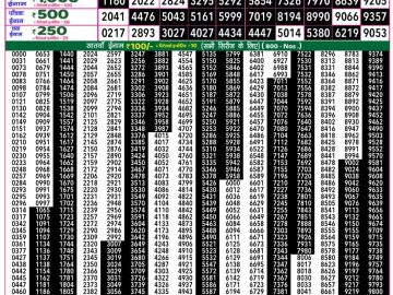 Dear Lottery Chart 2024
