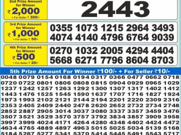 Dear Lottery Chart 2024
