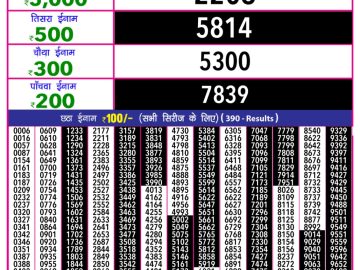 Dear Lottery Chart 2024