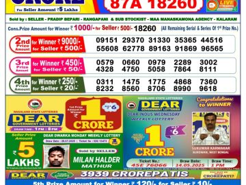 Dear Lottery Chart 2024