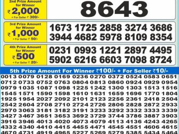 Dear Lottery Chart 2024