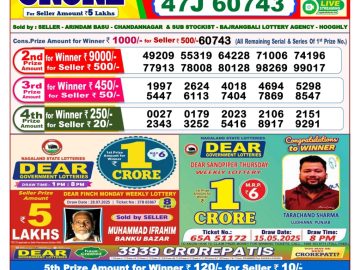 Dear Lottery Chart 2024