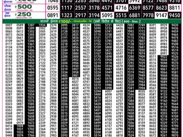 Dear Lottery Chart 2024