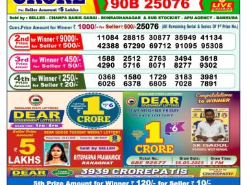 Dear Lottery Chart 2024