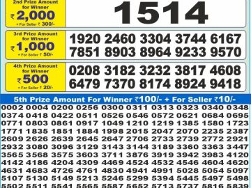 Dear Lottery Chart 2024