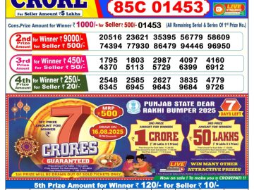 Dear Lottery Chart 2024