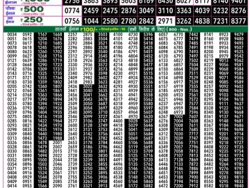 Dear Lottery Chart 2024